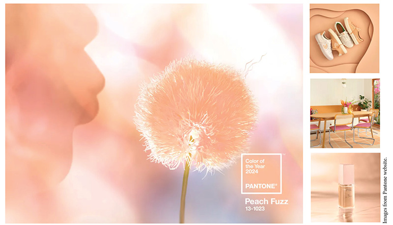 Pantone Color of the Year 2024: Peach Fuzz